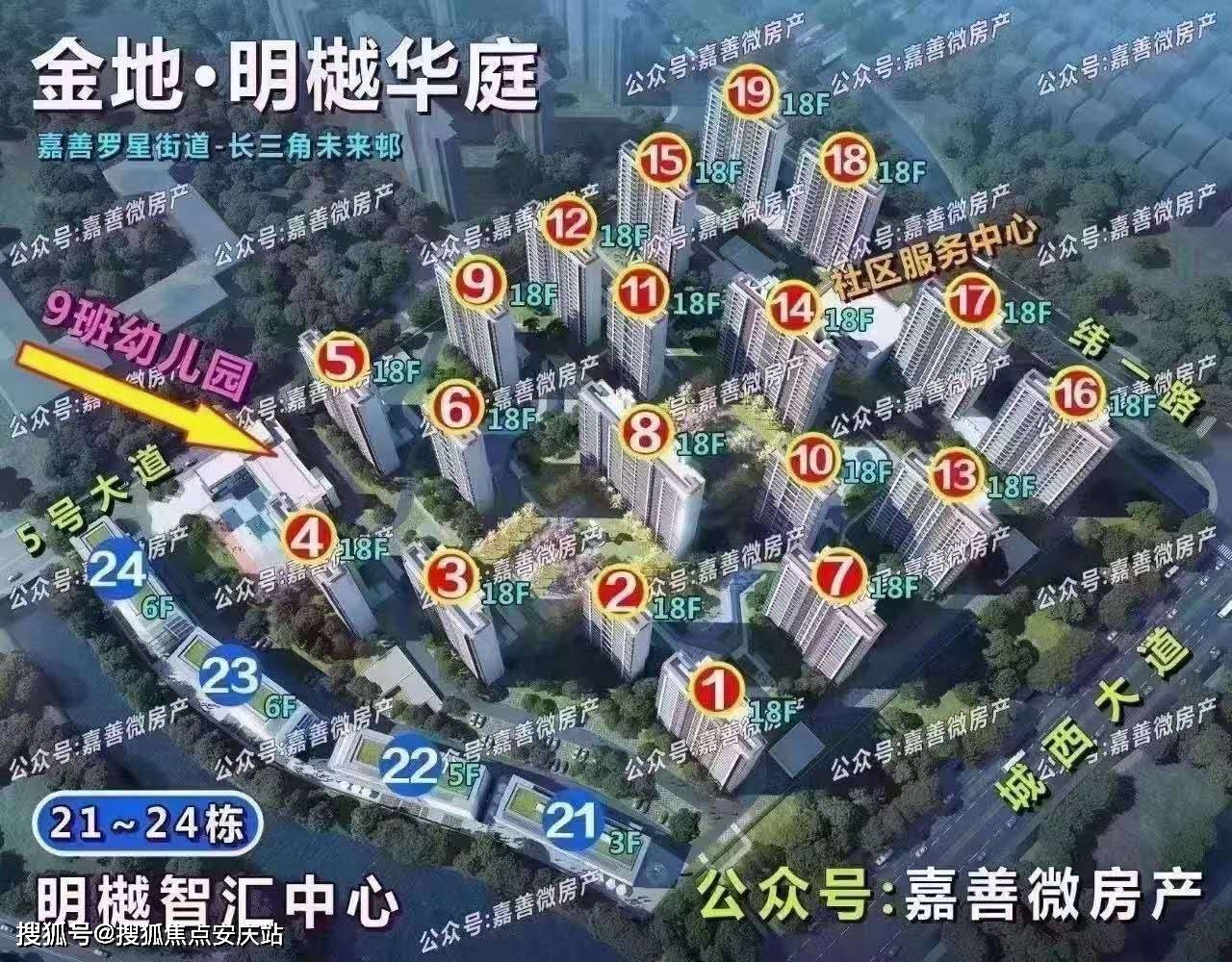 49库图新澳2025