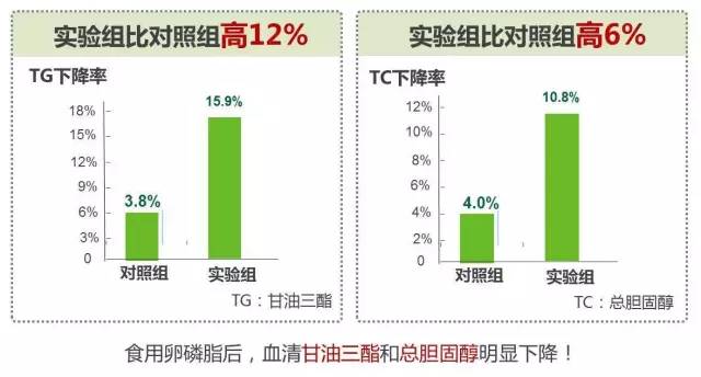 天下彩免费正版资料正版,天下彩免费正版资料的重要性及其定义方法解析——以XE版为例,迅速解答问题_交互版33.54.74