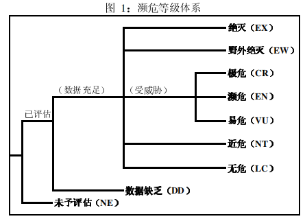 电桥输出,电桥输出与科技术语评估说明，LT81.84.69详解,重要性说明方法_iPhone16.16.50