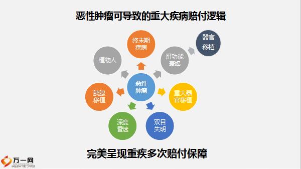 新澳门资料大全免费澳门,新澳门资料大全，科学解析评估与专属探索,整体讲解执行_特供版32.17.34