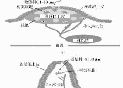 色母料厂对人体有危害吗