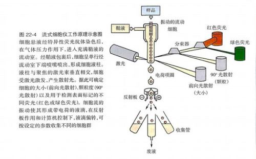 简述投影仪的分类与工作原理,简述投影仪的分类与工作原理及创新解析执行HarmonyOS系统升级策略,详细数据解释定义_儿版30.18.75