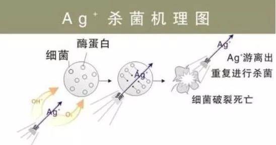 生物离心机分离细胞原理