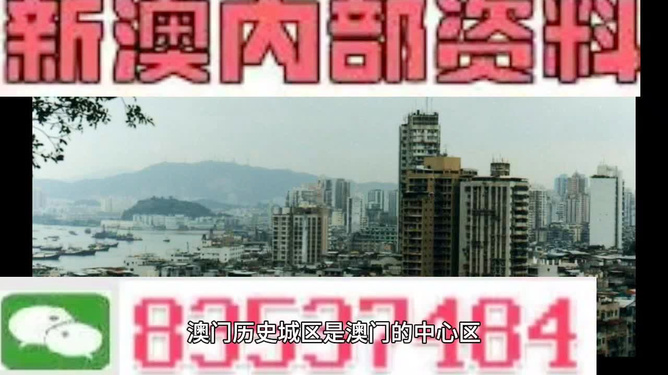 2024年新澳门239期资料