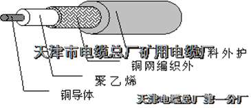 射频同轴电缆国家标准,射频同轴电缆国家标准与完整机制评估，深入解读特别版40.77与79,详细数据解释定义_儿版30.18.75