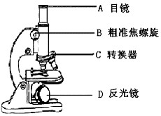 目镜和物镜怎么安装