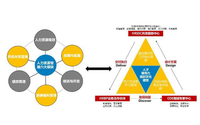 香港未来规划蓝图，高效设计实施策略与精准进阶方案