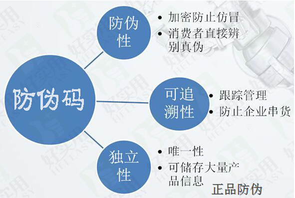 一码一肖期期公开中特，高效解答与解释定义的专业解读