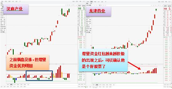 未来科技预测，2025年一码一肖精准预测系统及其多样化策略执行构想