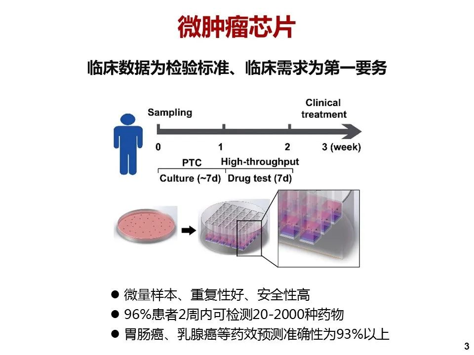 澳门一肖一码精准预测与专业执行方案