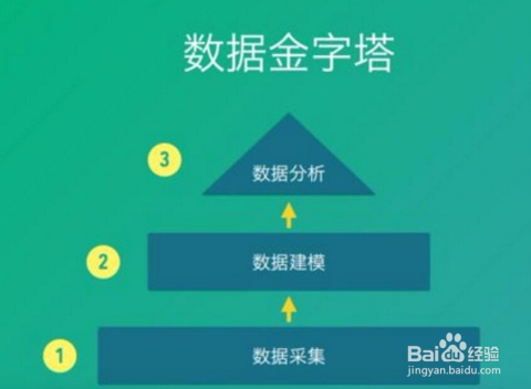 钱多多免费版资料网与数据整合执行方案，洋版深度解析