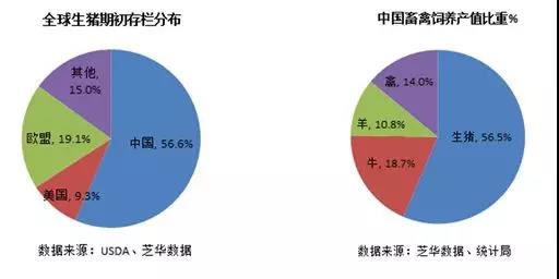 St6h神童网免费资料二中一，全面分析数据与执行的深度探讨——限量版详解