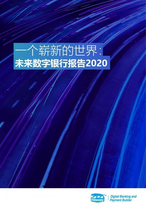 探索数字世界，未来趋势解析与定义——以数字199393、CCM与特定数据点为例