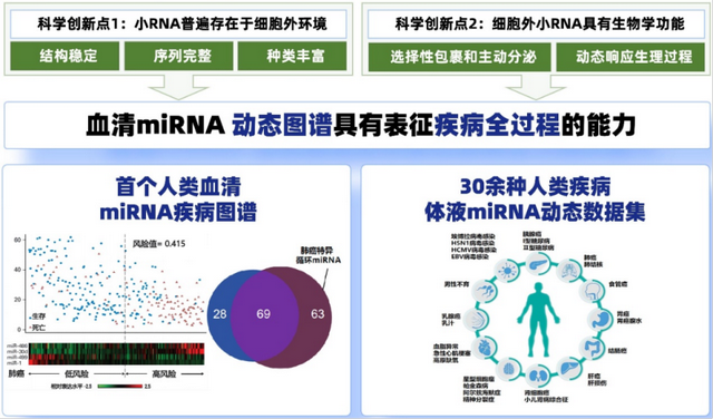 关于澳门在2025年资科领域的实地研究解析说明