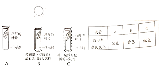 生物锰氧化物