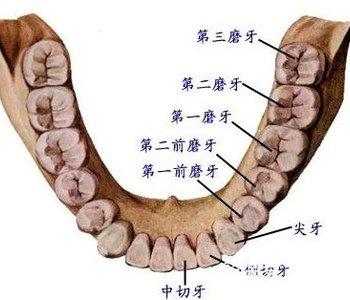 儿童口腔扩弓的优点和缺点