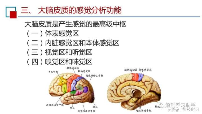 增重木耳对身体有害吗