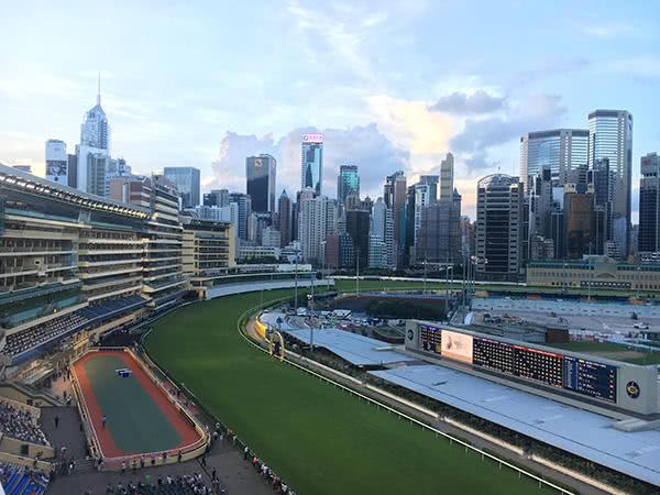 香港跑马地,香港跑马地与高速响应策略，探索钱包版应用的前沿技术,可靠研究解释定义_负版40.81.12